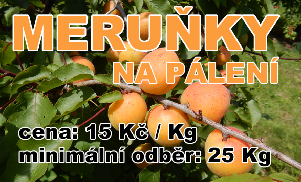Meruňky na pálení