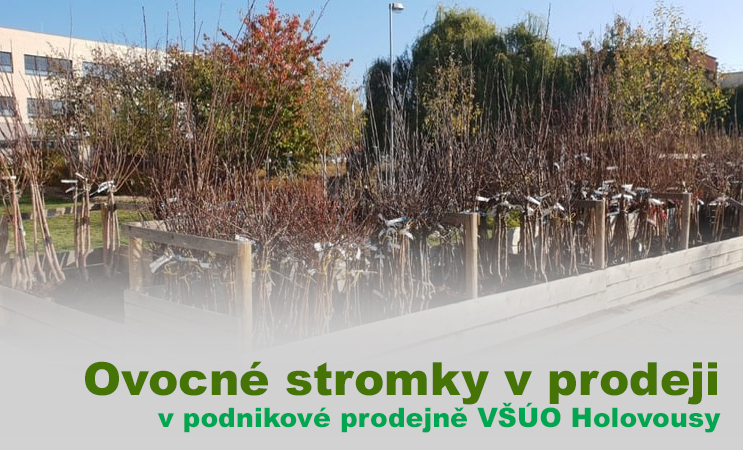Prodej stromků 2023