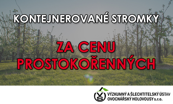 stromky