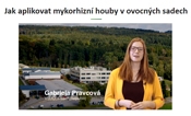 Jak aplikovat mykorhizní houby v ovocných sadech